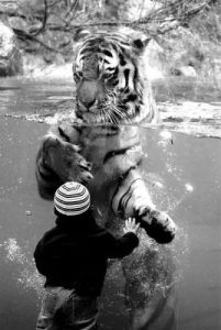 Trăiţi în armonie cu ceilalţi