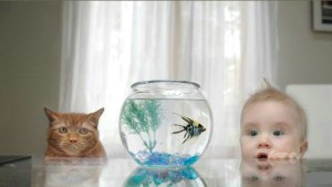 Trăiţi în armonie cu ceilalţi