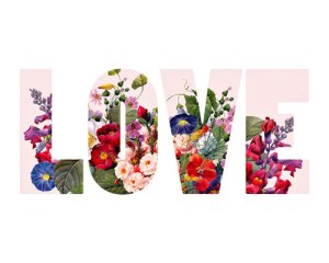 Balsam pentru suflet