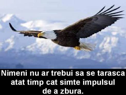 999667_613583391999951_1540055543_n