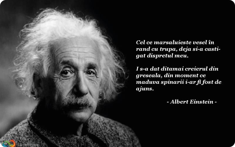 citat-albert-einstein-01