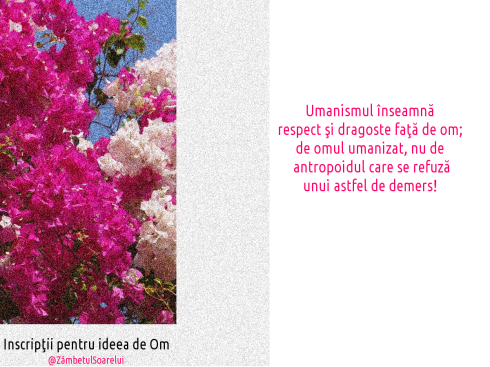 Inscripţii-pentru-ideea-de-om-103