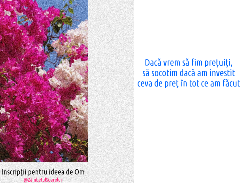 Inscripţii-pentru-ideea-de-om-20