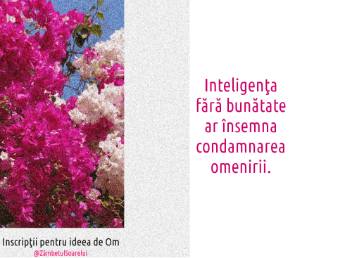 Inscripţii-pentru-ideea-de-om-40