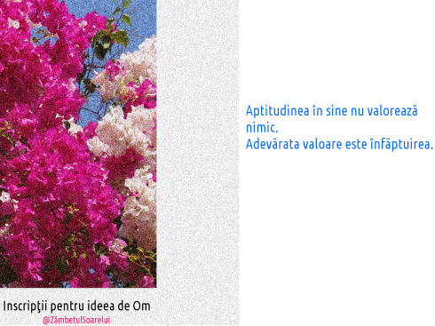 Inscripţii-pentru-ideea-de-om-6