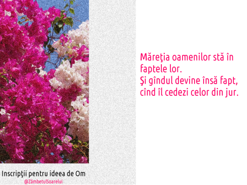Inscripţii-pentru-ideea-de-om-97