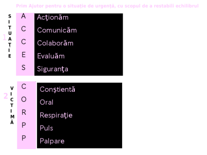 Primajutor-echilibru