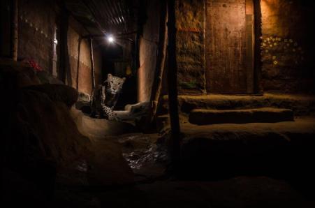 Winner, Urban - Nayan Khanolkar 