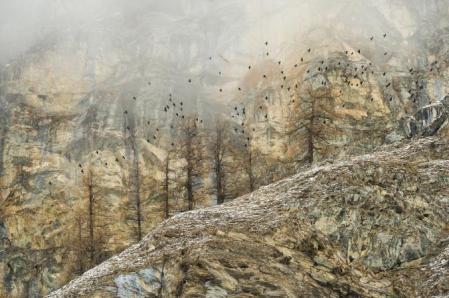 Winner, Land - Stefano Untertheiner