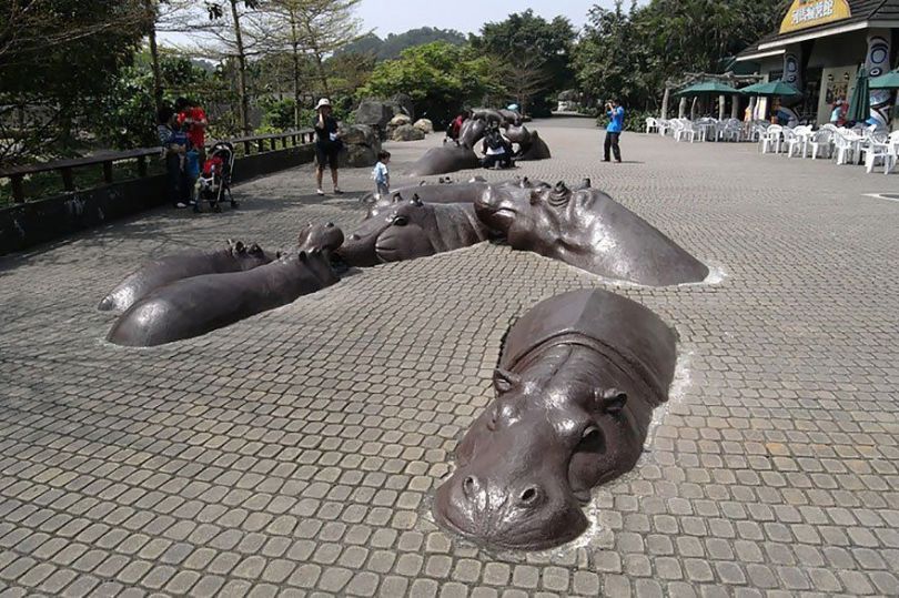 Hippopotamus-Taipei, Taiwan