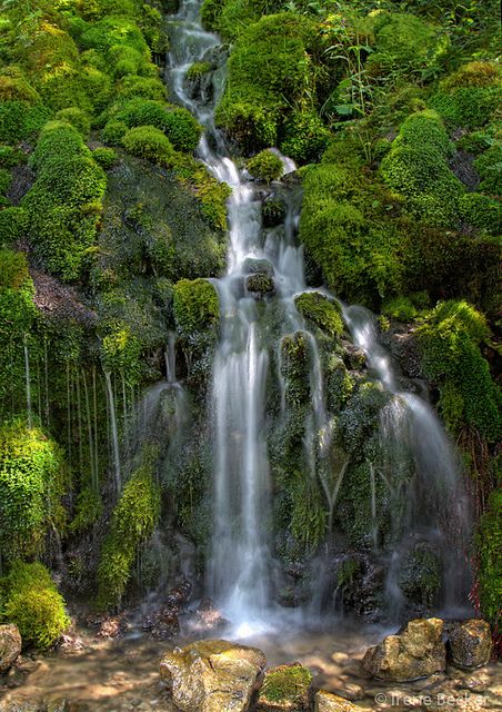 Trei lucruri pe care le poți învăța de la un izvor