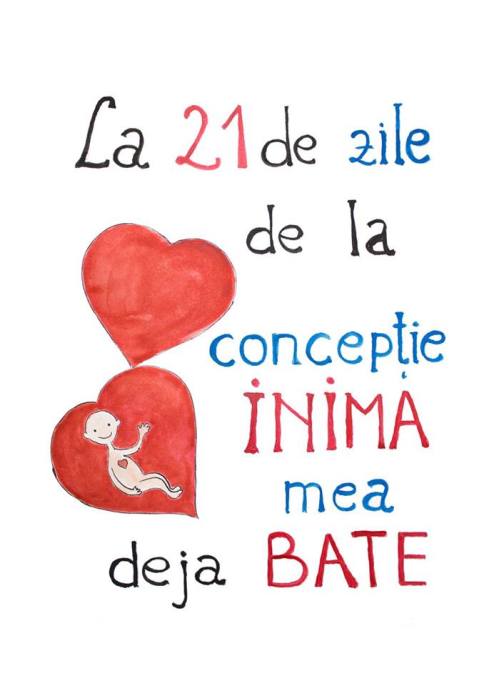 la21dezile-delaconceptie-inimamea-dejabate