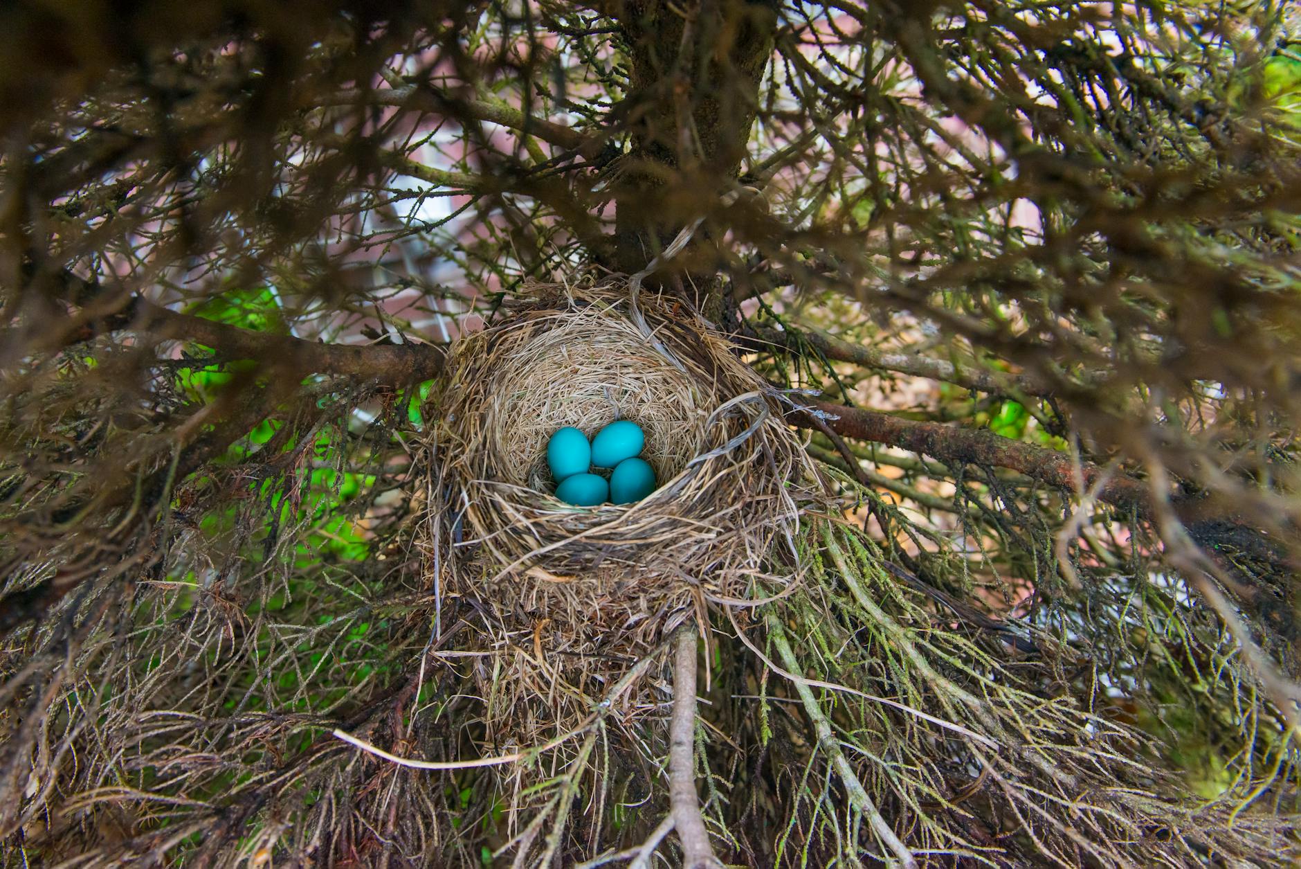 Acceptă_te_Așa_Cum_Ești_Stefanie_Stahl